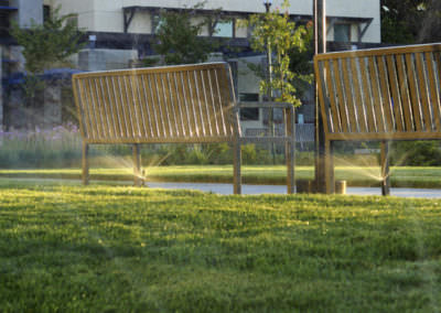 Beemelmans Garten- und Landschaftsbau in Goch