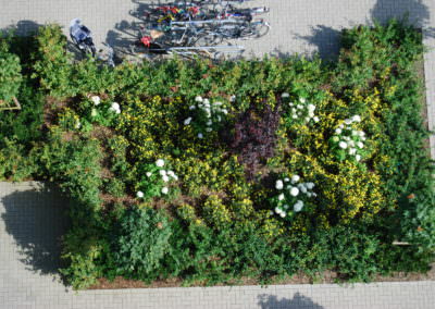 Beemelmans Garten- und Landschaftsbau in Goch