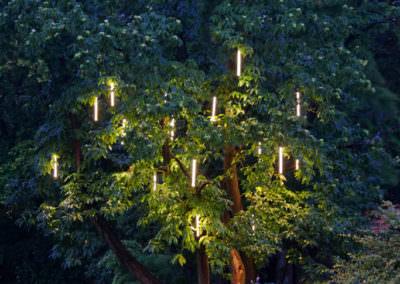 Beemelmans Garten & Landschaftsbau in Goch | Beeindruckende Lichtgestaltung