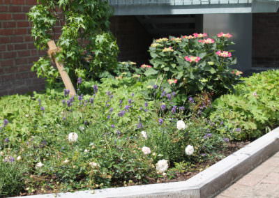 Beemelmans Garten- und Landschaftsbau in Goch