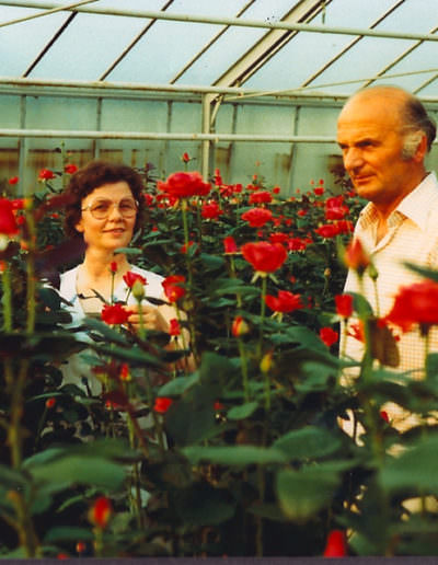 Beemelmans Garten & Landschaftsbau in Goch | Der Gründer des Unternehmens & Schnittrosen